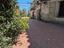 Immagine 10