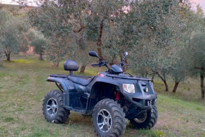 Quad ATV NEW FORCE NF 500S - 500cc PARI AL N
