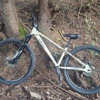 BICI DIRT CONOR BANDIT (2020) 