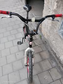 bicicletta 