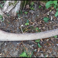 Falce fienaia antica