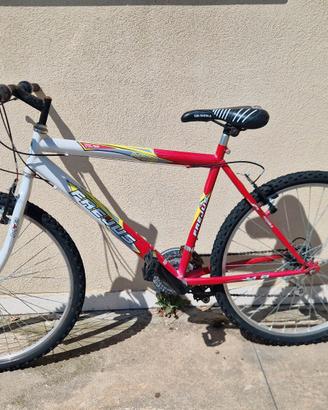 Bicicletta