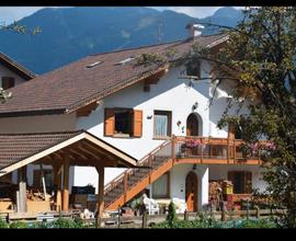 Casa Franca- grazioso appartamento a Cavalese (TN)