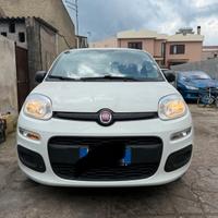 Panda terza serie 2019