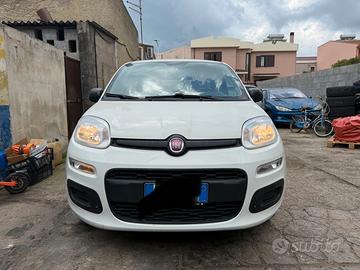 Panda terza serie 2019