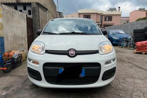 Panda terza serie 2019