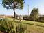 Immagine 25