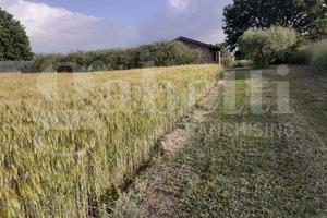 Terreno Residenziale Fabrica di Roma