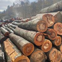 Legna da Ardere in Tronchi