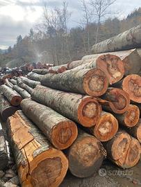 Legna da Ardere in Tronchi