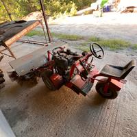 Spazzatrice scopatrice olive BOSCO