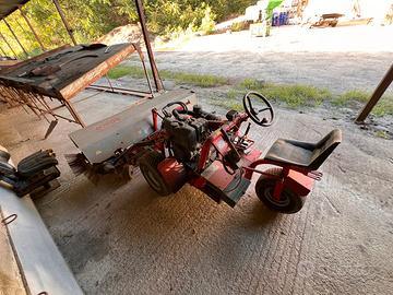 Spazzatrice scopatrice olive BOSCO