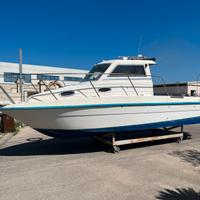 Astra 250 - mercruiser