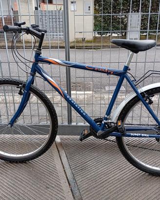 bicicletta