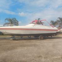 Cigala bertinetti 30