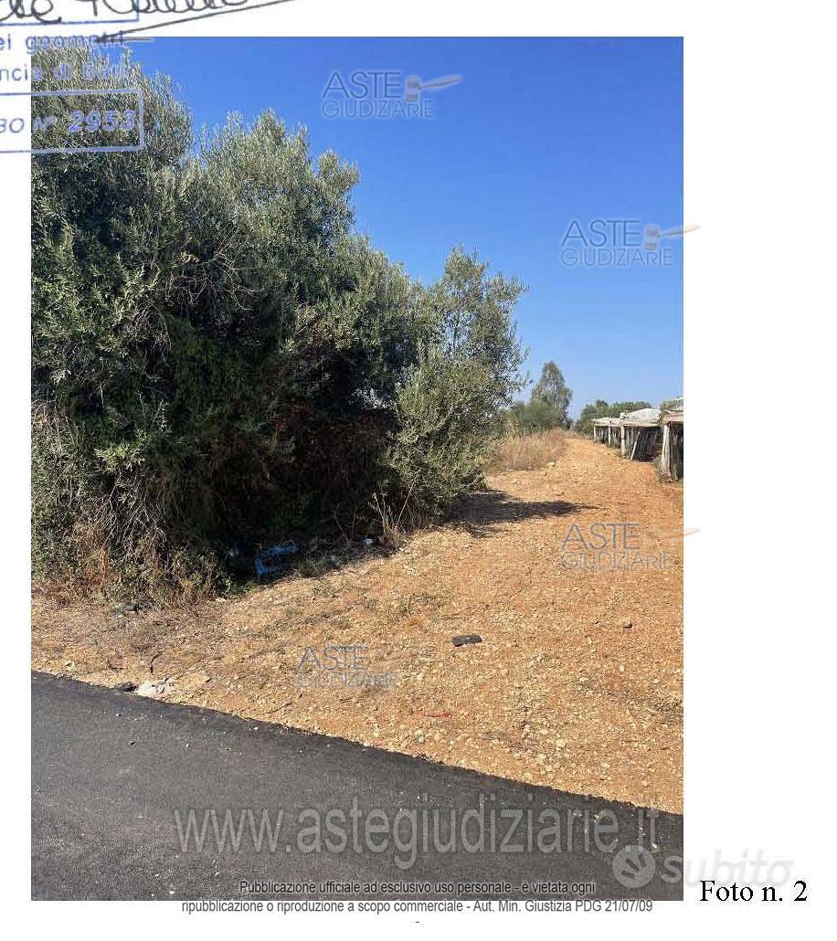 Terreno Agricolo Conversano [A4322892] - Vista 2