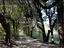 Immagine 17