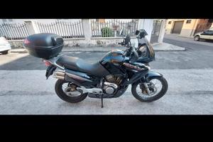 Honda XL 650 V Transalp - 2005