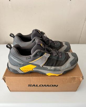 Salomon X Ultra 5 GTX