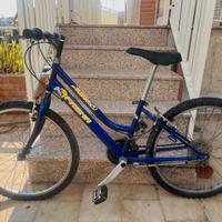 Bici da 24 con cambio Shimano