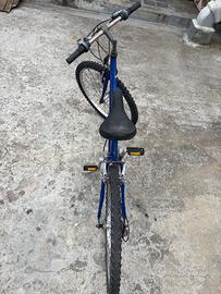 Bici 26