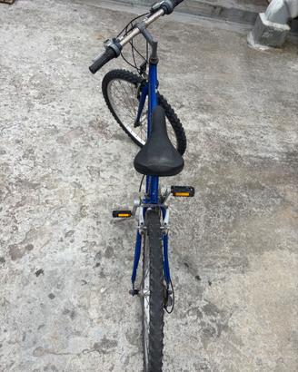 Bici 26