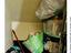 Immagine 26