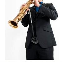 ERGOBRASS SUPPORTO SAX ERGO-SAX