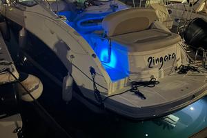 Chaparral Signature 250 (820)