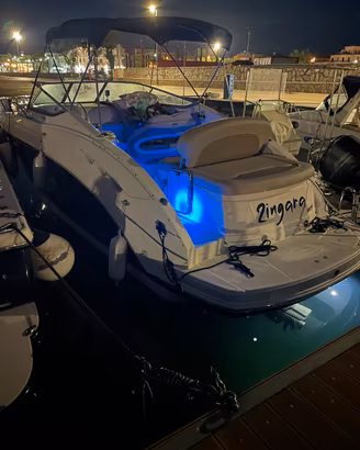 Chaparral Signature 250 (820)