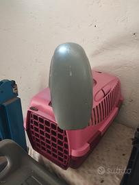 parafango ant custom