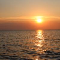 Castagneto carducci - appartamento di prestigio co