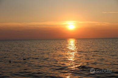 Castagneto carducci - appartamento di prestigio co