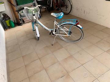 Bicicletta raggio “24