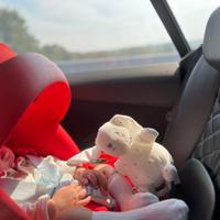 Ovetto Cybex Aton Q/M + Base Isofix