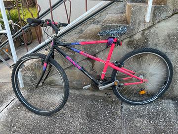 MTB Ragno Bianchi Pholcus