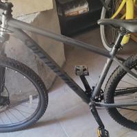 bici specialized