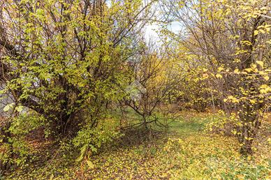 TER. AGRICOLO A CIRIÈ