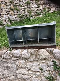 casetta uova tre scomparti