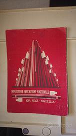 Ministero Educazione Nazionele