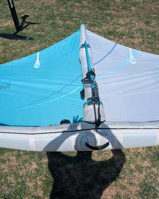 Wing Gong Neutra Aramid 5.5 
