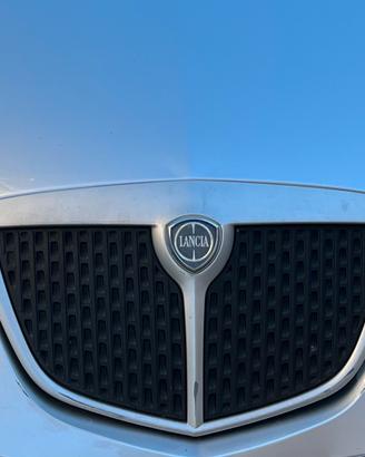 Mascherina anteriore Lancia Ypsilon