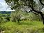 Immagine 28