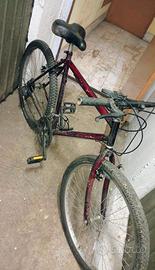 MTB vintage 26 