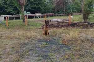 Terreno di 8000 m² a Inzago