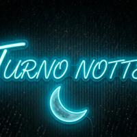 Guardiano Sicurezza Anche notte