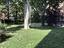 Immagine 26