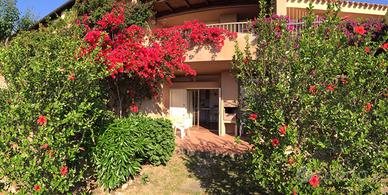 SARDEGNA-PALAU -4 posti 2 piscine BBQ ARIA COND