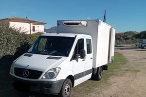 Mercedes sprinter cella frigo