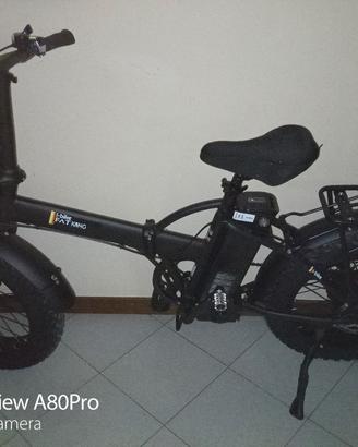bici elettrica 